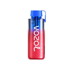 ویپ یکبار مصرف وزول نئون 10000 Vozol Disposable Neon
