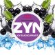 نیکوتین خوراکی انگور فرنگی یخی ZYN Icy Blackcurrant Nicotine Pouches