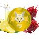 نیکوتین خوراکی روباه تمشک و لیموناد Fox Raspberry Lemonade Nicotine Pouches
