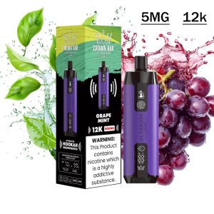 پاد 12000 کام الفاخر انگور نعنا Al Fakher Grape Mint 12000 Disposable pod
